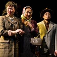 Snow Drifts: Snow Falling on Cedars