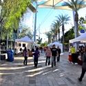 Mesa Contemporary Arts Announces Spring 2011 Exhibitions