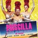 PRISCILLA QUEEN OF THE DESERT Cast to Perform at Barnes & Noble, 4/7