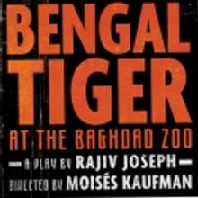 BENGAL TIGER AT THE BAGHDAD ZOO Opens on Broadway Tonight, 3/31!