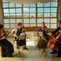 Momenta Quartet Plays WP Concert Hall, 4/5