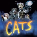 BWW Reviews: CATS national tour at TPAC