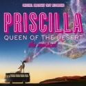 PRISCILLA Cast Album Debuts at #1 on Billboard Charts