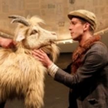 BWW Reviews: O LOVELY GLOWWORM OR SCENES OF GREAT BEAUTY from New Century Theatre Com