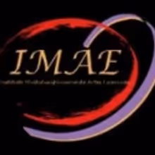  Profesionalizando las Artes Esc&eacute;nicas en M&eacute;xico: IMAE