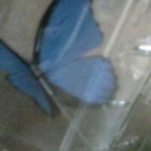 THE MUSEUM PLAY Opens at convergence-continuum 5/13