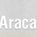 AracaWorks Hosts New Reading Series, 5/10-13