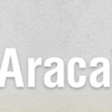 AracaWorks Hosts New Reading Series, 5/10-13