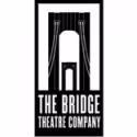 Starry Night & Bridge Theatre Company Present ANY NIGHT, 6/8