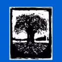 Crossroads Theatre Company Presents The Genesis Festival of New Plays and Voices…