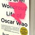 Literature to Life Gala Honors Junot Diaz and Piri Thomas 5/23