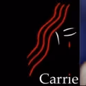 Marin Mazzie Leads CARRIE at MCC in 2012; Full Season Announced!