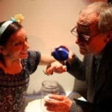 BWW Reviews: convergence-continuum's THE MUSEUM PLAY is Well Worth the Price