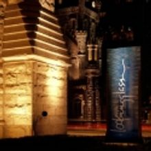 BroadwayWorld Chicago Salutes Lookingglass Theatre Ensemble Part One