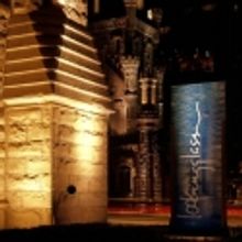 BroadwayWorld Chicago Salutes Lookingglass Theatre Ensemble Part Three