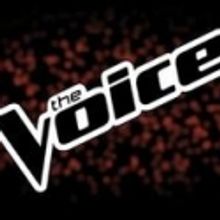 THE VOICE Over: The Quarter-Finals!