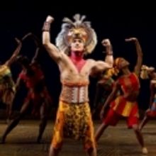 CATCH ME IF YOU CAN, LION KING Hold Special Performances to Benefit The Actors Fund This Summer