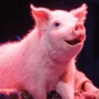 STAGE TUBE: First Look at BETTY BLUE EYES Performance Highlights in the West End! Video