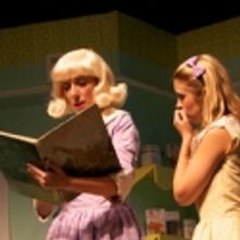 BWW Reviews: Bizarre D IS FOR DOG Will Be a Curiosity at Studio/Stage