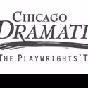Chicago Dramatists Welcomes Meghan Beals McCarthy as Artistic Director