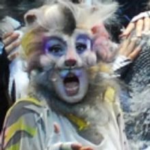 CATS 30th Birthday to be Celebrated in Italy