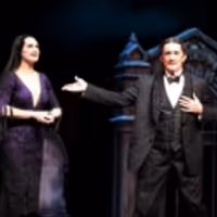 TV: Brooke Shields Celebrates Her ADDAMS FAMILY Opening! Video