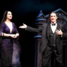 TV: Brooke Shields Celebrates Her ADDAMS FAMILY Opening!