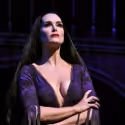 BWW Interviews: Brooke Shields and The Company of THE ADDMAS FAMILY on Their Newest…