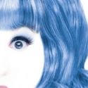 HAIRSPRAY Now Playing at Red Mountain Theater Thru 8/7