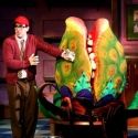 Photo Flash: Production Shots from LITTLE SHOP OF HORRORS at the Muny!