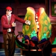 Photo Flash: Production Shots from LITTLE SHOP OF HORRORS at the Muny!