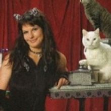 AcroCats to Perform at Avalon Theatre, 7/29 - 31