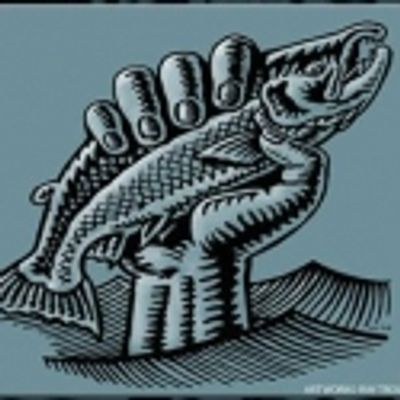 SALMONSTOCK 2011 Set for 8/5-8/7 at Kenai Peninsula Fairgrounds