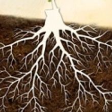 Phoenix Theatre Presents THE SPITFIRE GRILL, 10/5 - 10/23