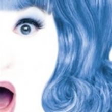 VYT Presents HAIRSPRAY at the Herberger Theater Center, 8/12 - 28