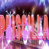 STAGE TUBE: Bette Midler Voices New PRISCILLA QUEEN OF THE DESERT Commercial!