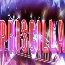 STAGE TUBE: Bette Midler Voices New PRISCILLA QUEEN OF THE DESERT Commercial!