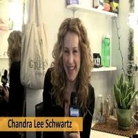 STAGE TUBE: Chandra Lee Schwartz Announces WICKED's Givenik Charity Night!