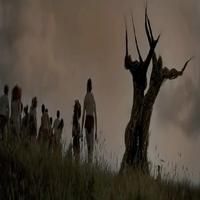 STAGE TUBE: First Look - THE WICKER TREE Trailer Video