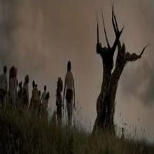 STAGE TUBE: First Look - THE WICKER TREE Trailer