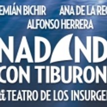 Nadando con tiburones: ¿te atreves a sumergirte?