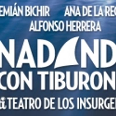 Nadando con tiburones: &iquest;te atreves a sumergirte?