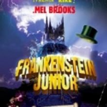 BWW Reviews: YOUNG FRANKENSTEIN Arrives in Paris! 