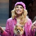 LEGALLY BLONDE Celebrates 2 Years in the West End