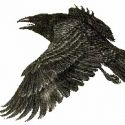 Shadowbox Productions Announces BLACKBIRD for 4/11-22