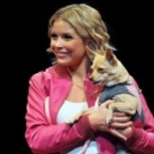 Photo Flash: Marriott Theatre's LEGALLY BLONDE - New Production Photos!