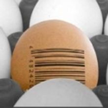 A NUMBER Comes to Life at Northwestern University October 27