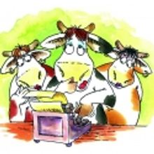 CLICK CLACK MOO: Cows That Type Plays the Rose Theatre, 3/30-4/15