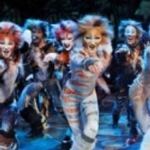 CATS: AMERICA'S FAVORITE FAMILY MUSICAL Arrives at the Van Wezel Performing Arts Hall