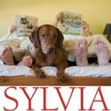 Act II Playhouse Kicks Off its 2011/12 Season with Sylvia